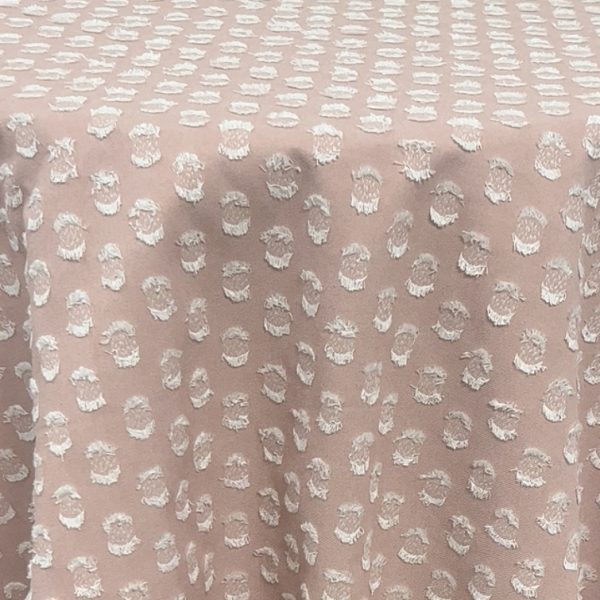 Ciglia | Blush