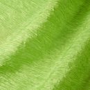Fortuny | Lime