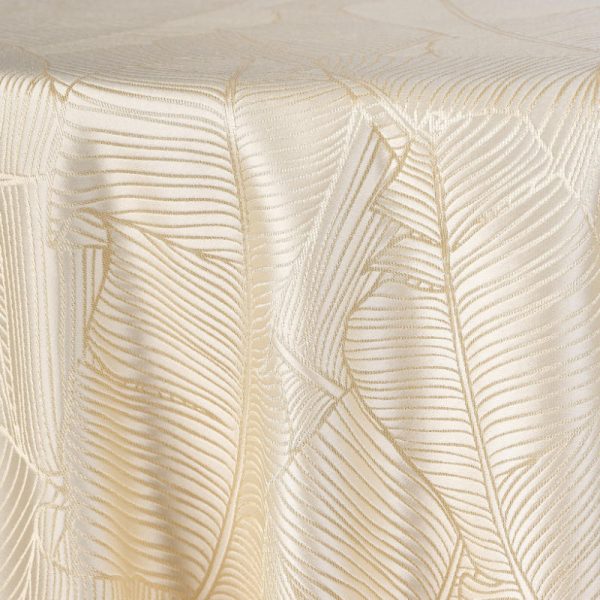Palmera | Champagne